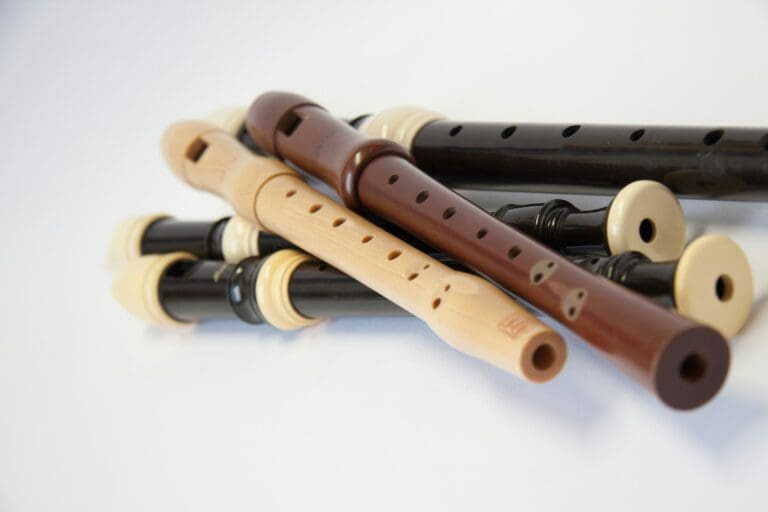 Choosing a Recorder for a Beginner: What to Look For